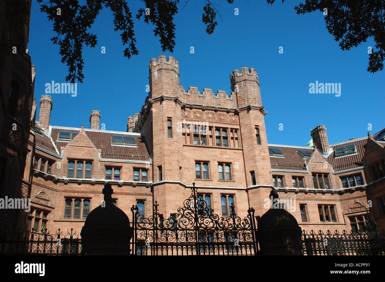Yale University New Haven Connecticut Stockfoto