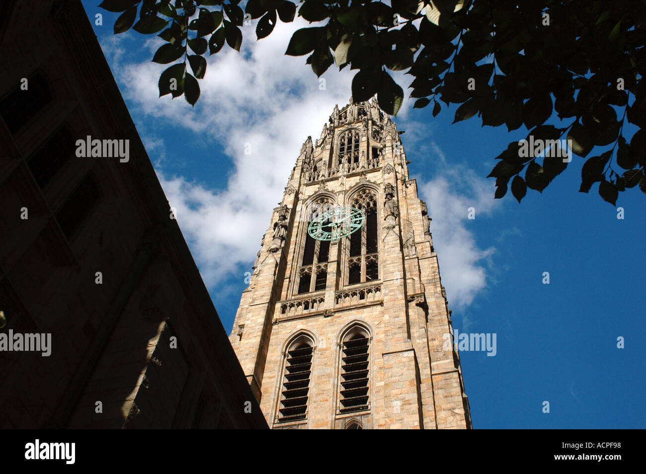 Yale University New Haven Connecticut Stockfoto