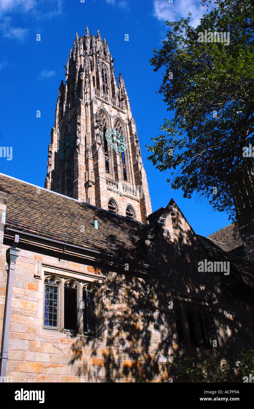 Yale University New Haven Connecticut Stockfoto