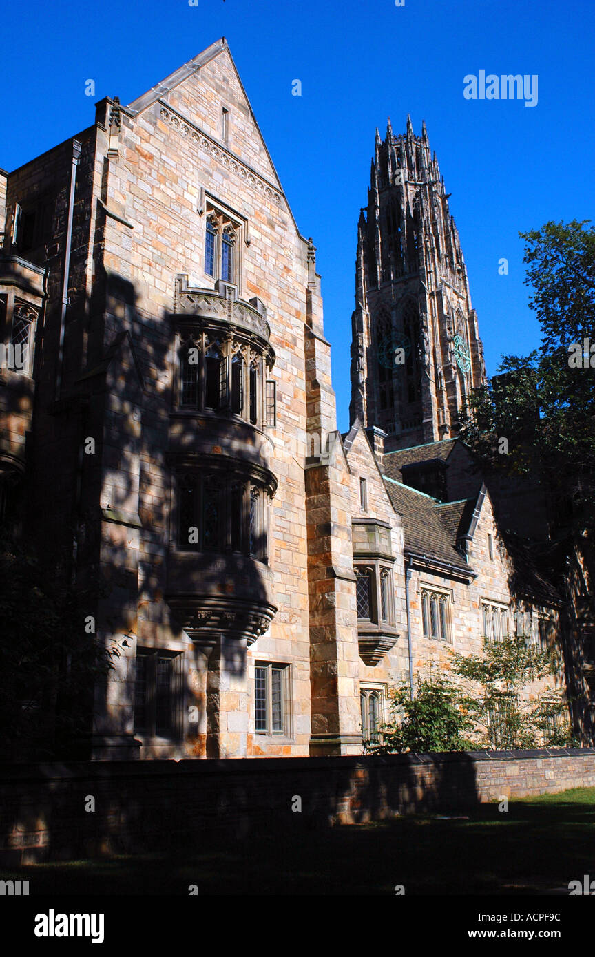 Yale University New Haven Connecticut Stockfoto