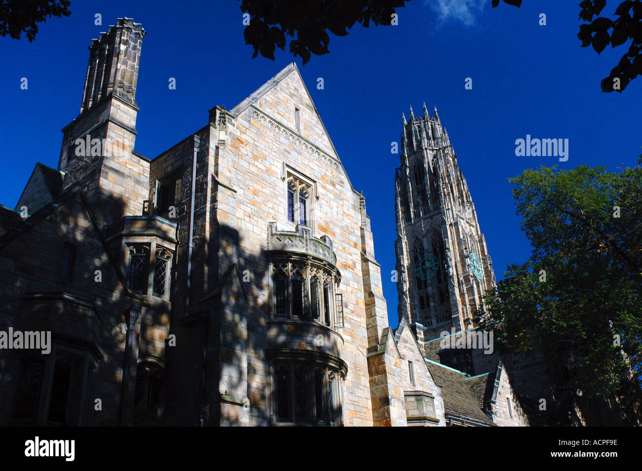 Yale University New Haven Connecticut Stockfoto