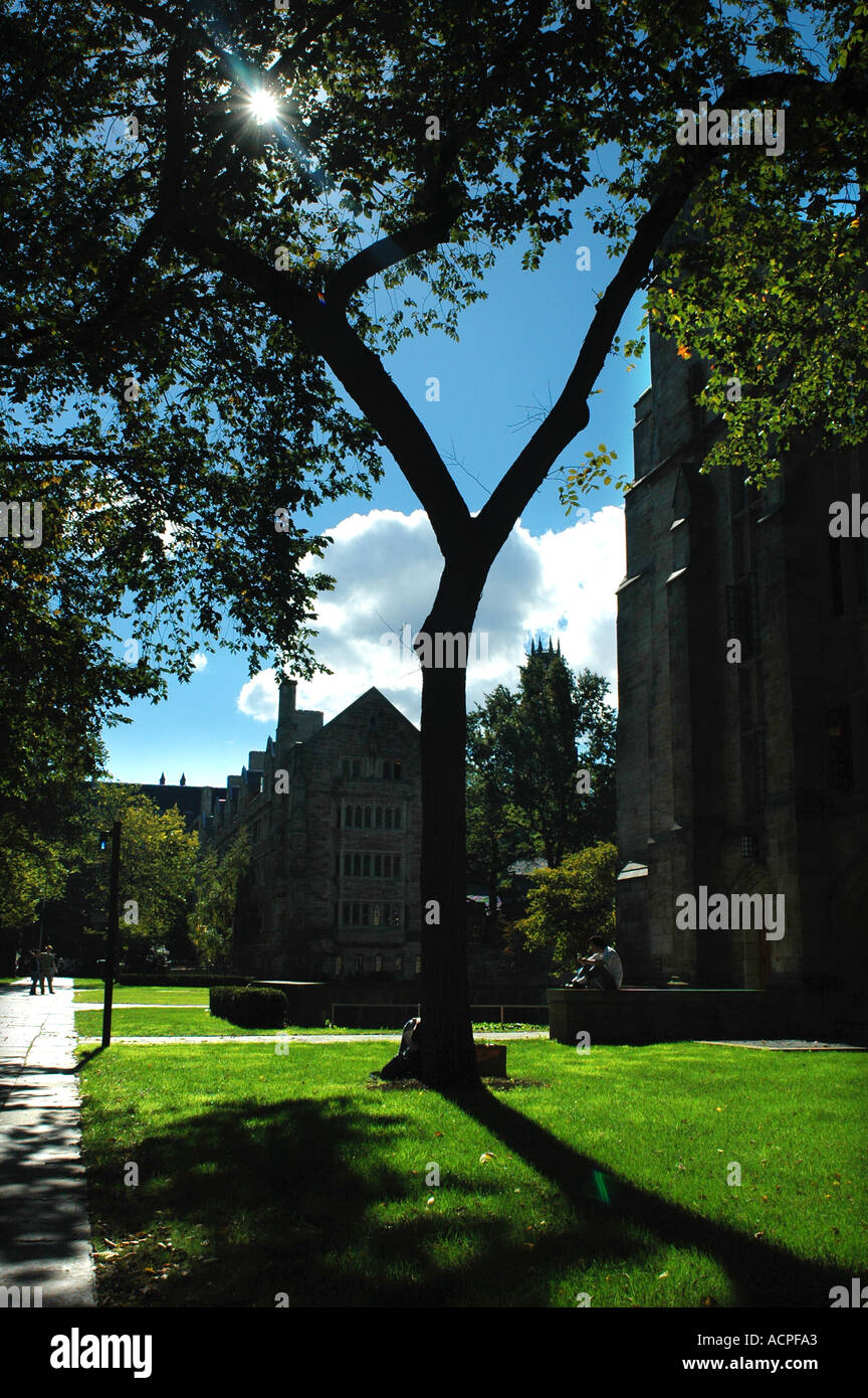 Yale University New Haven Connecticut Stockfoto
