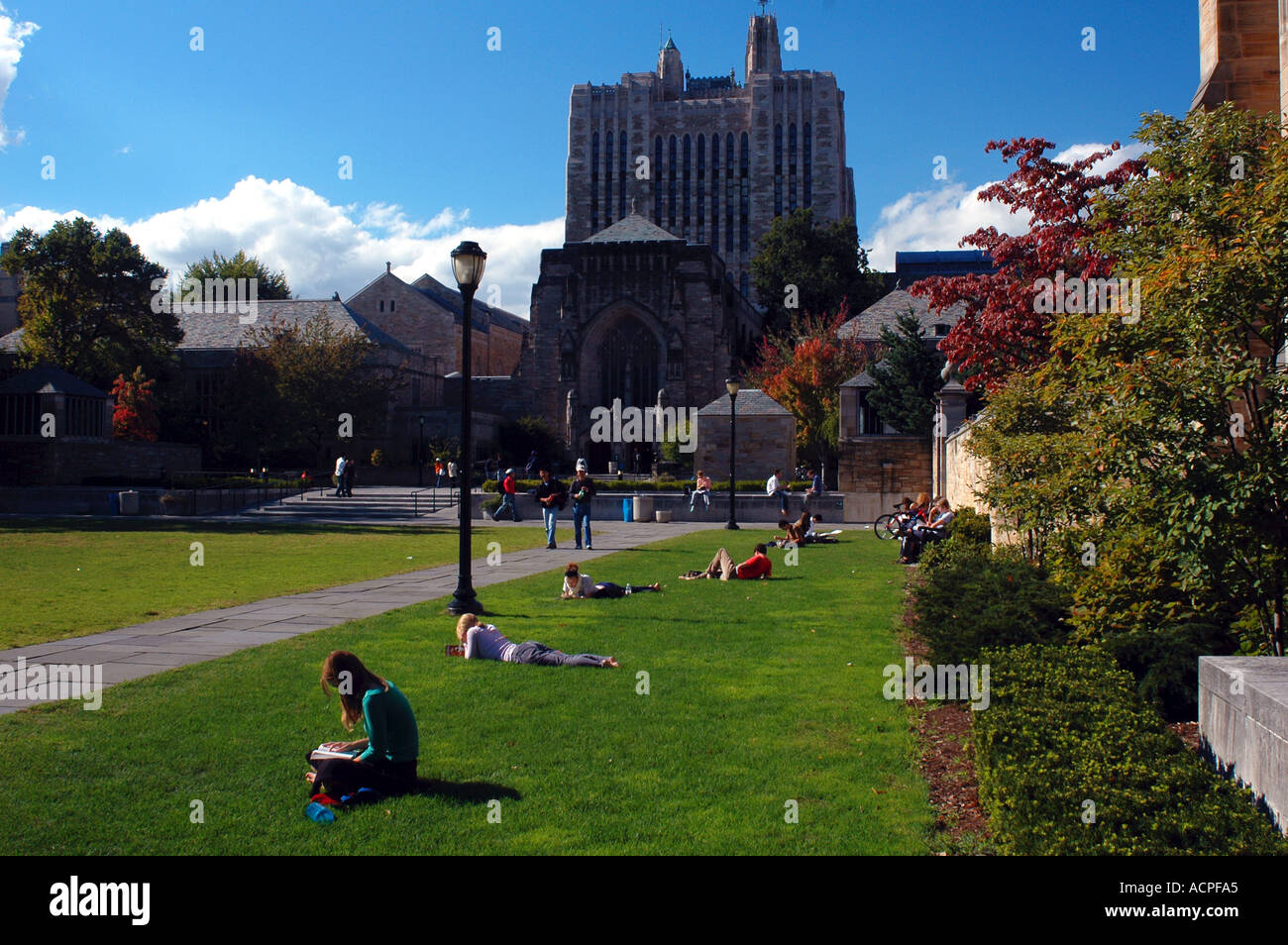 Yale University New Haven Connecticut Stockfoto