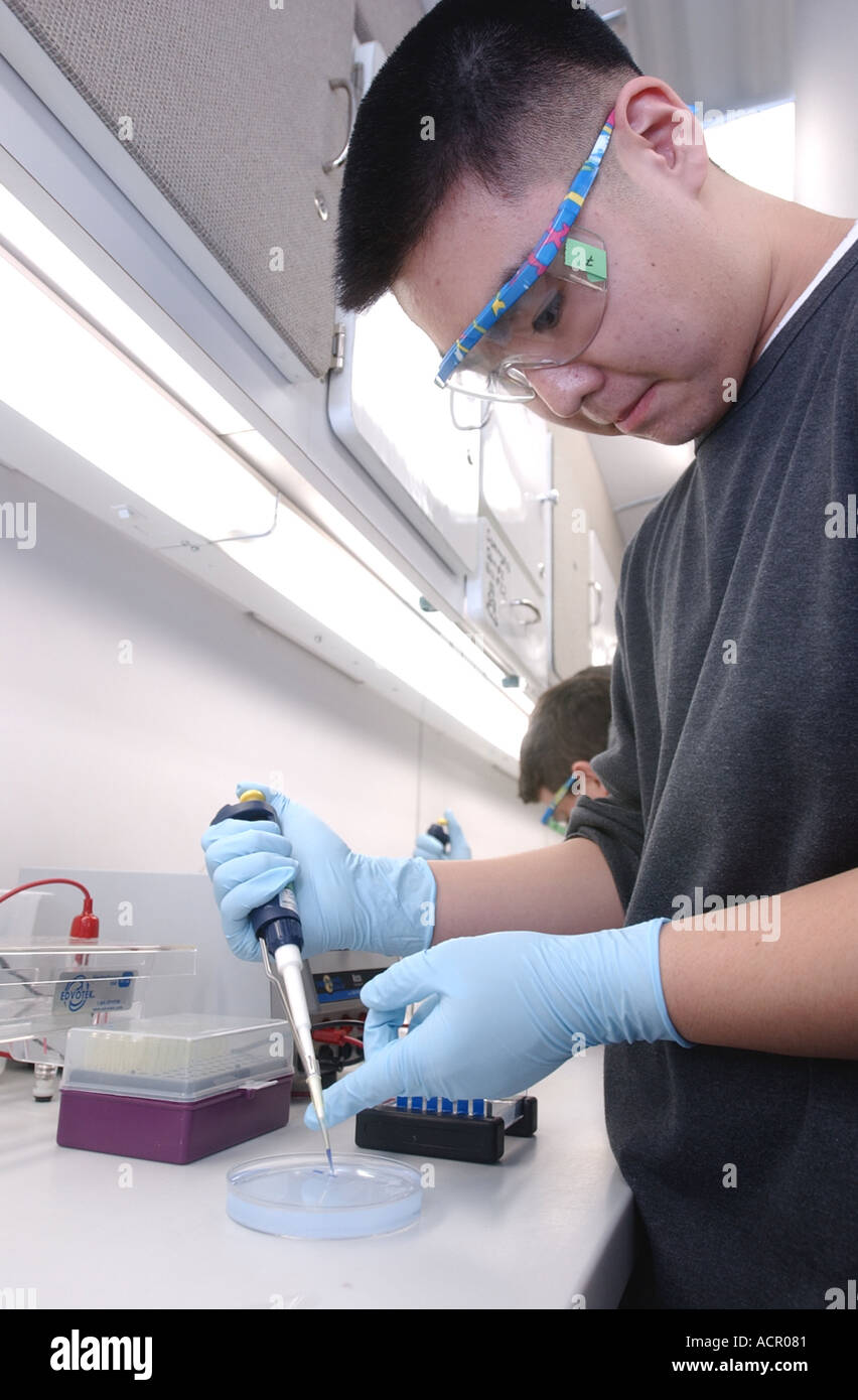 Extraktion von DNA in einer Petrischale während eines High School Wissenschaft Klasse Stockfoto