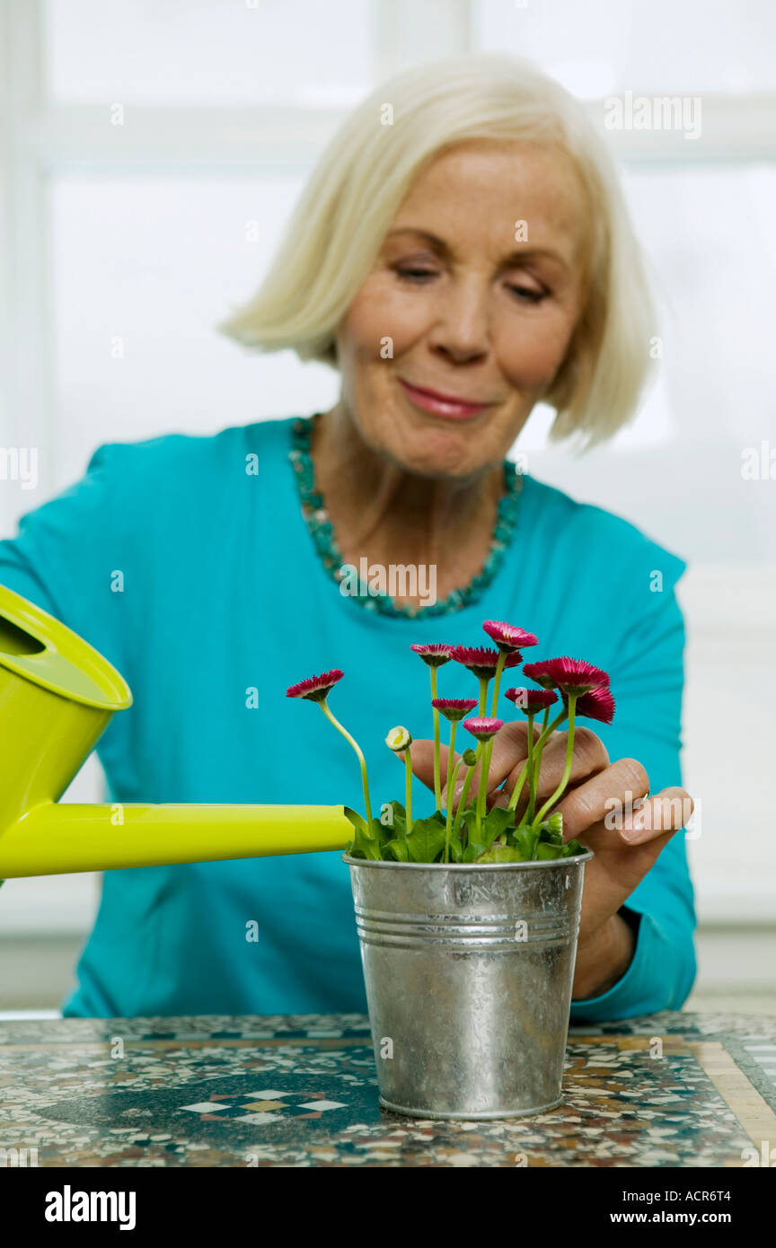 Ältere Frau Bewässerung Zimmerpflanze, close-up Stockfoto