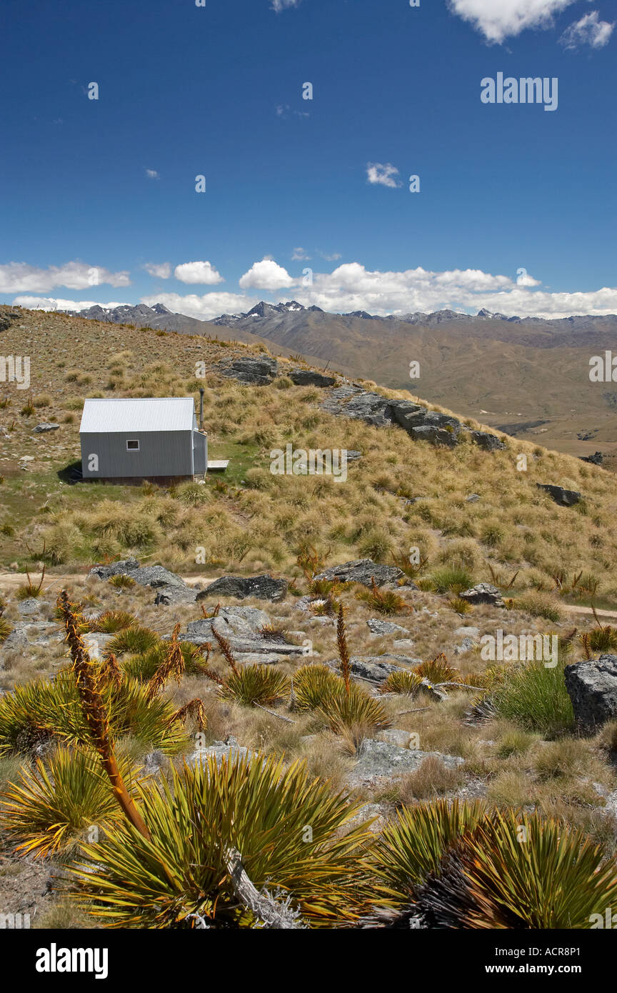 Alte Frau Hütte alte Frau Bereich Central Otago Südinsel Neuseeland Stockfoto