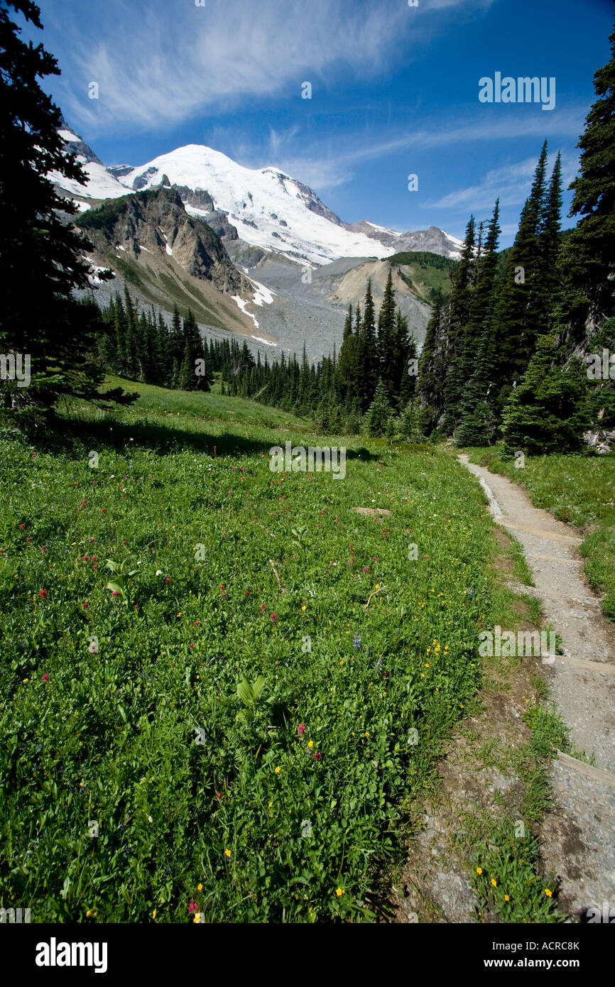 Wanderweg und Wiese Mount Rainier Berg Washington State USA Stockfoto