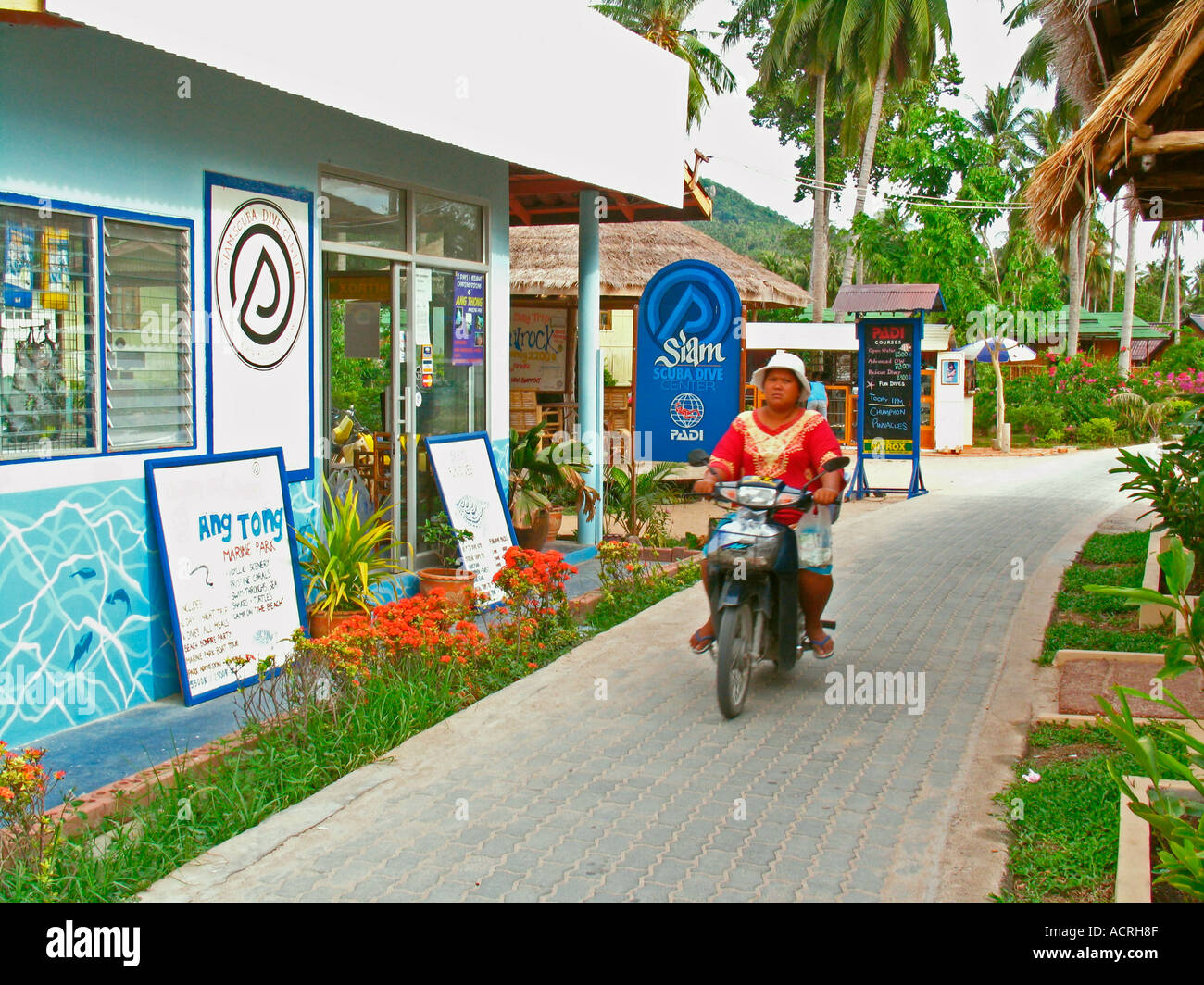 Tauchshops und Zeichen Linie Weg am Hut Sai Ri Strand auf Koh Tao Insel Thailand Stockfoto