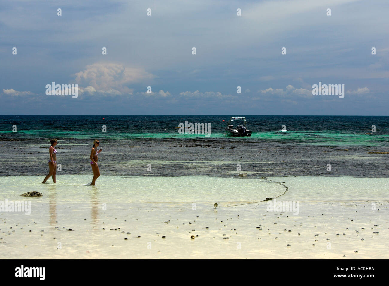 Junge Frauen in Bikinis paddeln in Untiefen Hat Sai Ri Strand Koh Tao Insel Thailand Stockfoto