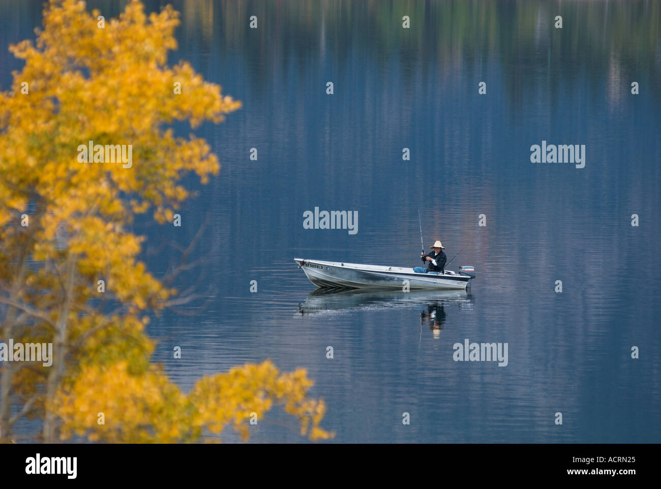 Fischer im Boot am Untersee Twin mit Aspen Baum im Herbst Farbe östlichen Sierras Kalifornien Stockfoto