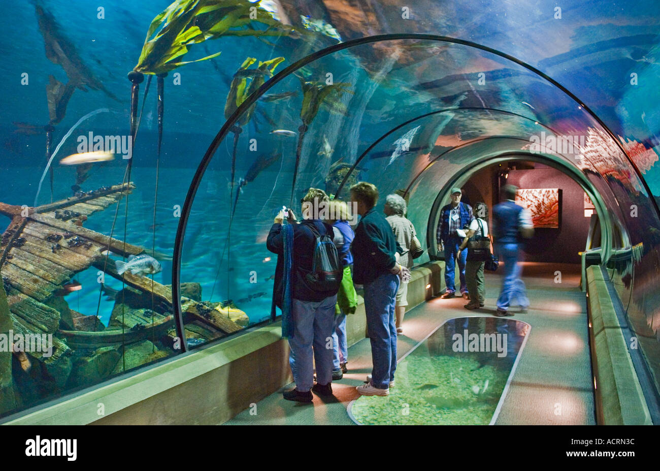 Passagen der Tiefe zeigen an der Oregon Coast Aquarium Newport Oregon Stockfoto