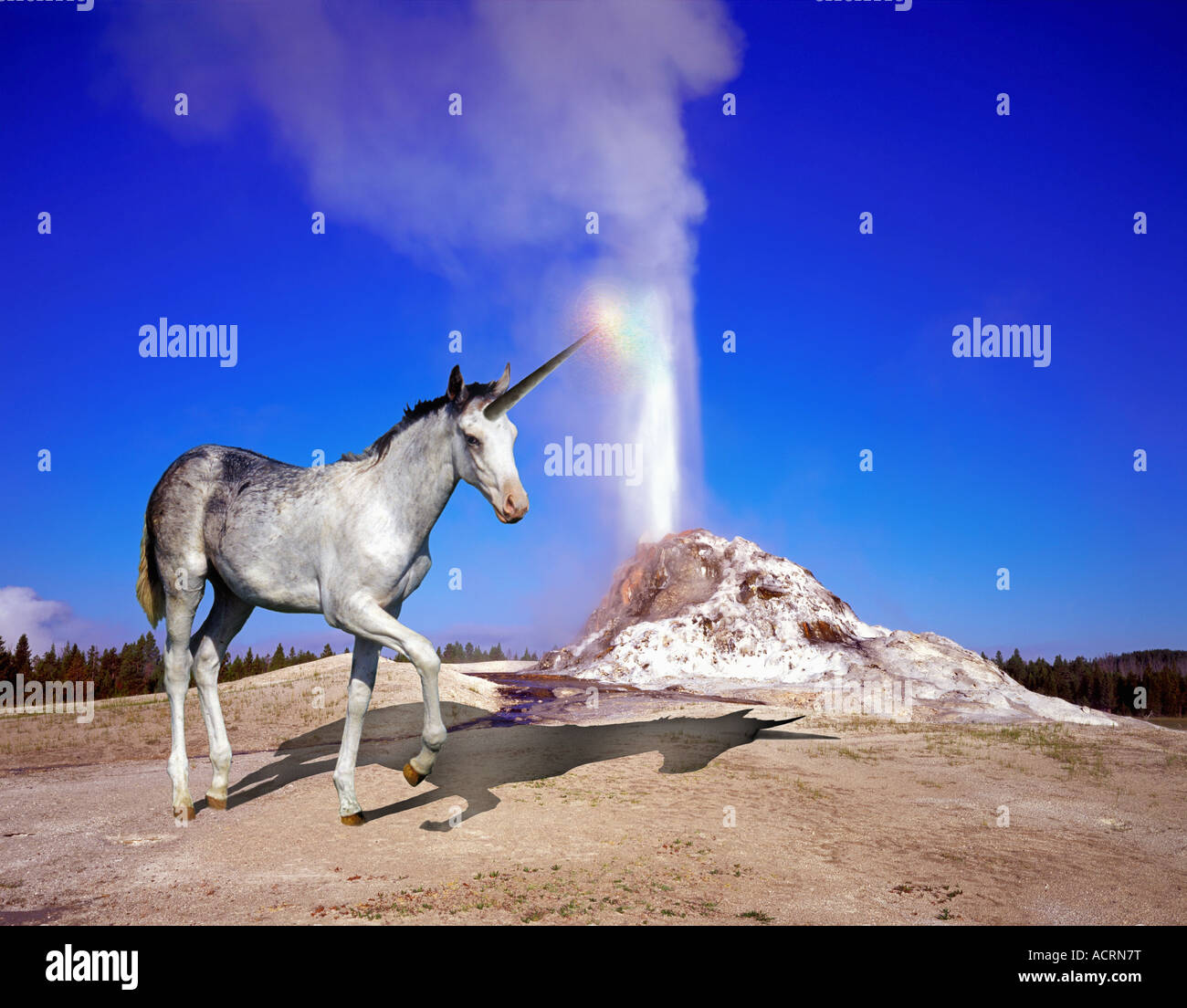 Das Einhorn ist ein legendäres Tier, das im Laufe der Geschichte und davor als Pferdetier mit einem einzigen Horn beschrieben wurde, das aus seinem Kopf hervorragt. Stockfoto