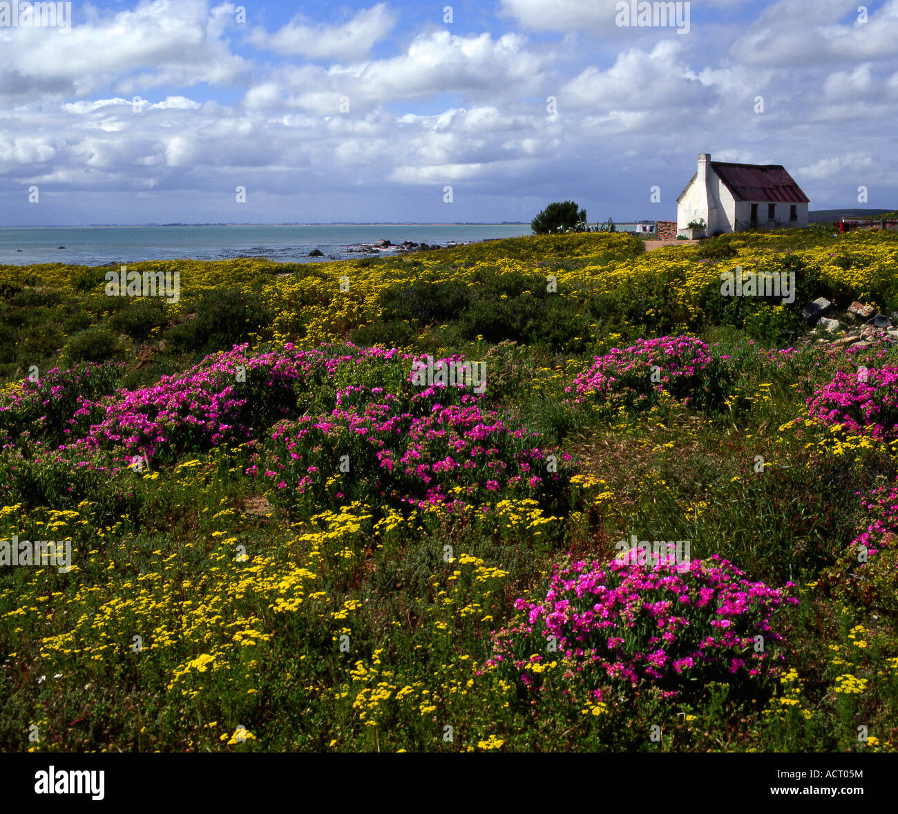 Ein einsamer Angeln Ferienhaus an der Küste in St Helena Bay auf der Cape West Coast St Helena Bay Western Cape Südafrika Stockfoto