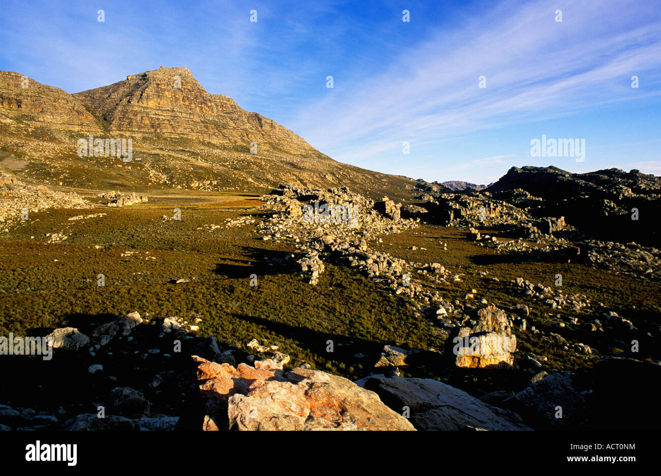 Malerische Aussicht auf den Cedarberg Mountains Sneeuberg-Berg im Hintergrund Cedarberg Western Cape Südafrika Stockfoto