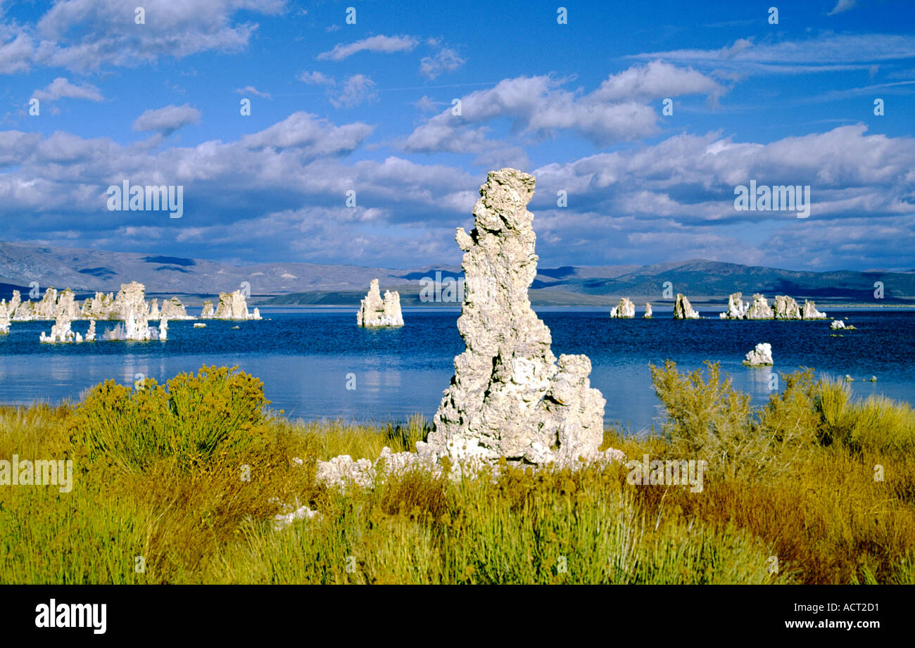 Mono Lake, Kalifornien, USA. Kalktuff-Formationen ausgesetzt durch Senkung der ursprüngliche Wasserstand im Mono Lake, jetzt ein Wasser-reservoir Stockfoto