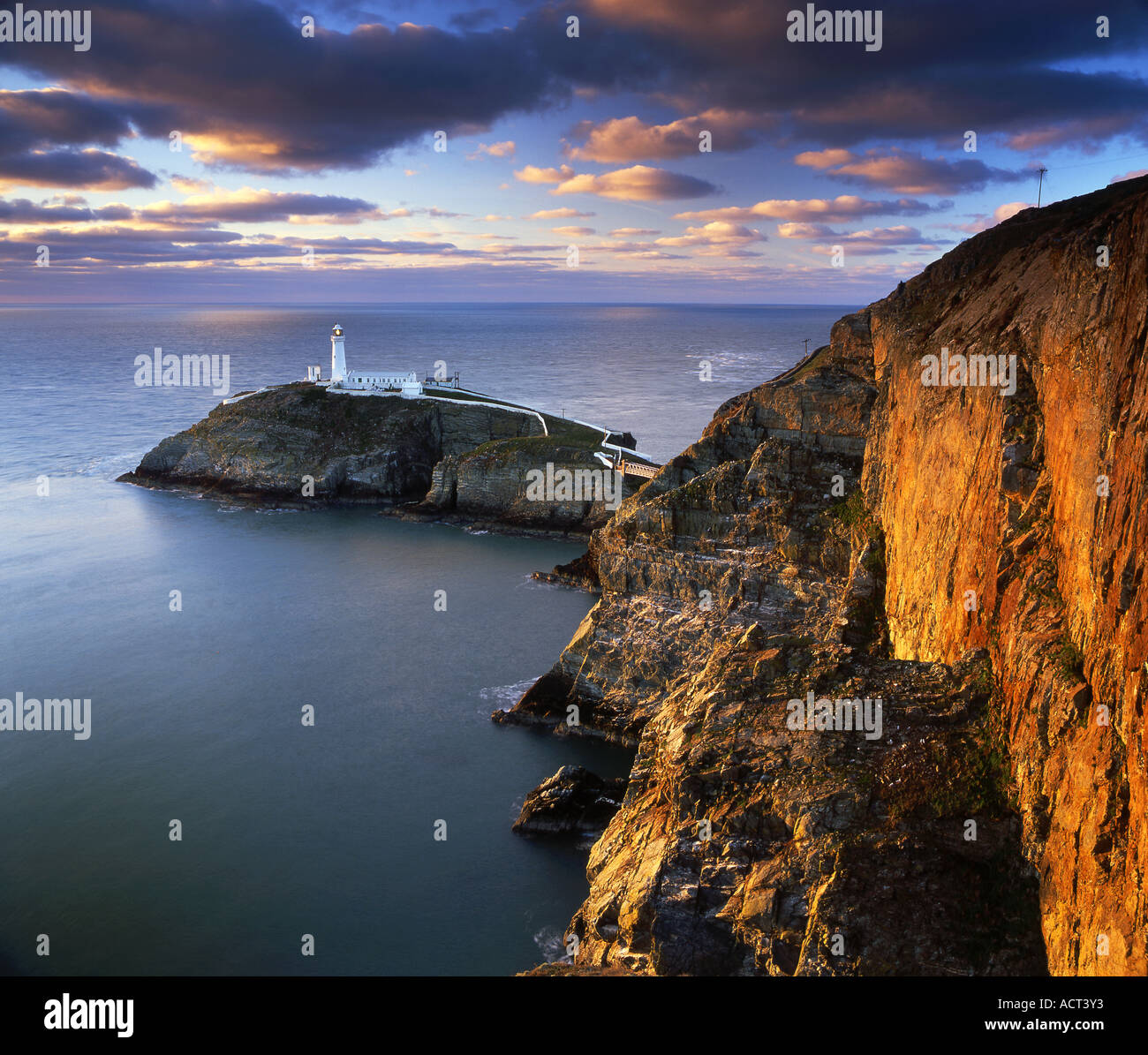 Am Abend Sonnenlicht auf South Stack Leuchtturm, Holy Island, Anglesey, Nord Wales, Vereinigtes Königreich Stockfoto