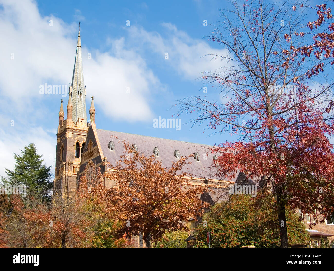 die Kathedrale und der Turm erheben sich hinter den Herbst Herbst Bäume verlieren ihre Blätter Stockfoto