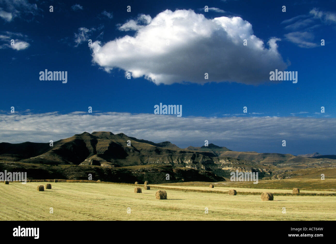 Landschaft mit Feldern mit Ballen Heu und Berge Fouriesburg Südafrika Stockfoto