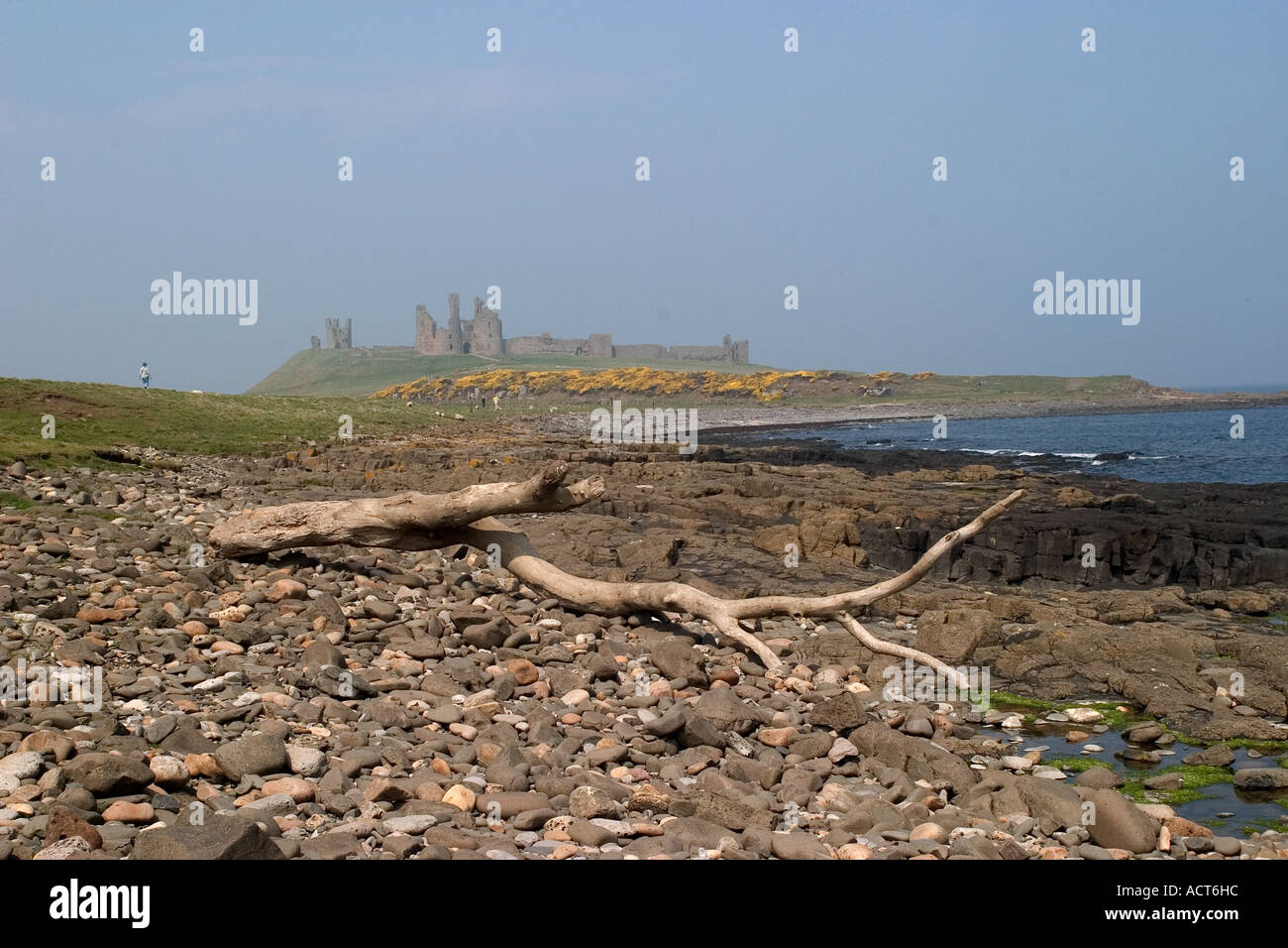 Dunstanburgh Castle zeigen sich durch einen leichten Nebel Stockfoto
