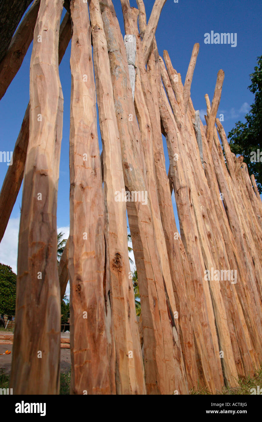 Ein Rundholzplatz Verkaufspreis Lebombo Ironwood Androstachys Johnsonii Polen 35 Metecals den Gegenwert von US 1 50 pro Pol Stockfoto