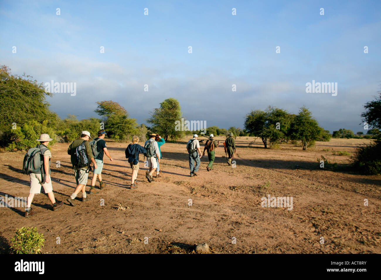 Touristen auf dem Sweni Trail Fuß mit einem bewaffneten game Guide durch offene Savanne im Kruger National Park-Südafrika Stockfoto