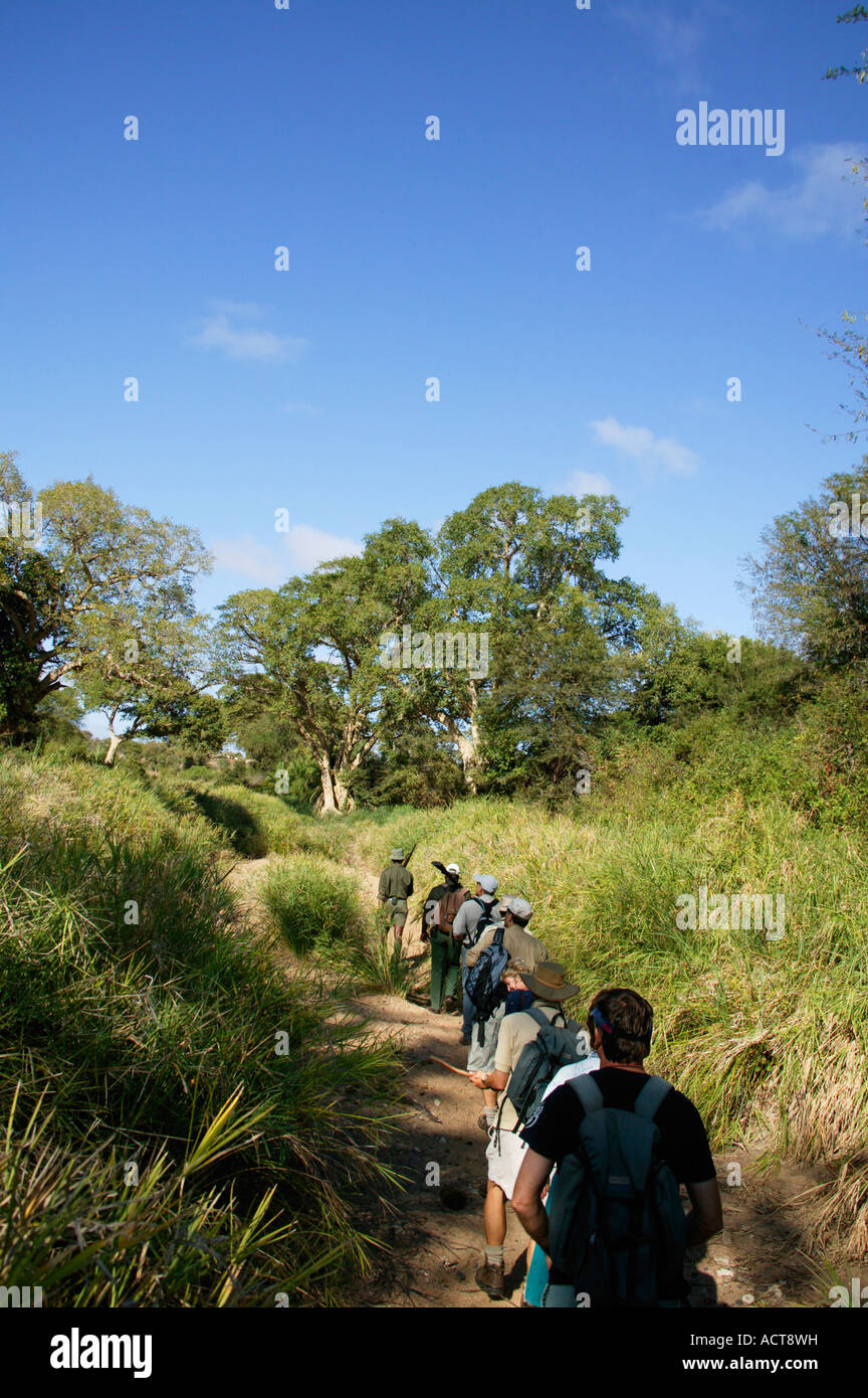 Touristen auf dem Sweni Trail Folgen eines bewaffneten Spielanleitung in ein ausgetrocknetes Flussbett in der Kruger National Park-Südafrika Stockfoto
