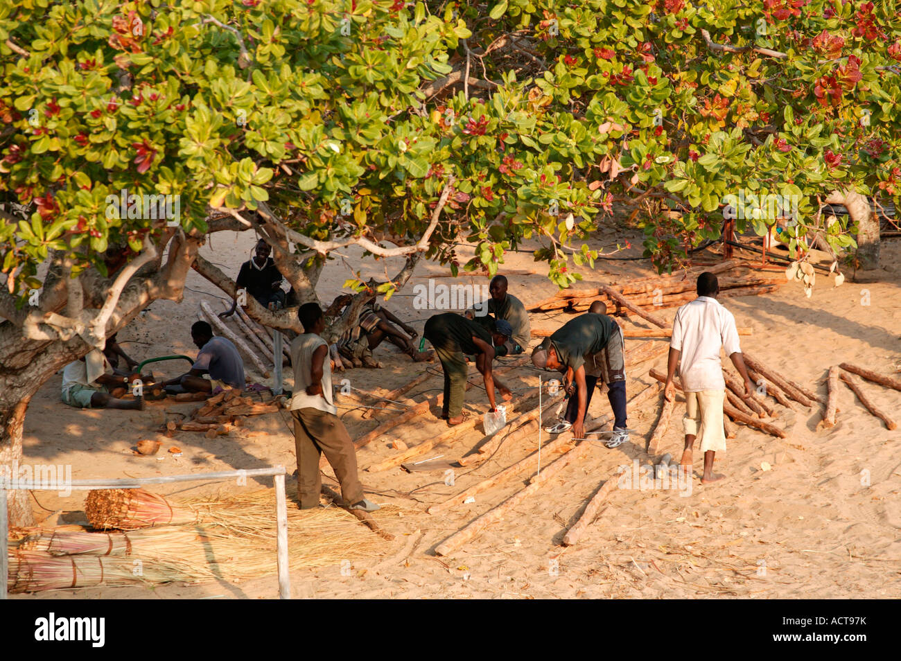 Männer arbeiten in einem Outdoor-Baustelle unter einer Cashew-Nuss Baum Barra Inhambane Provinz Mosambik Stockfoto