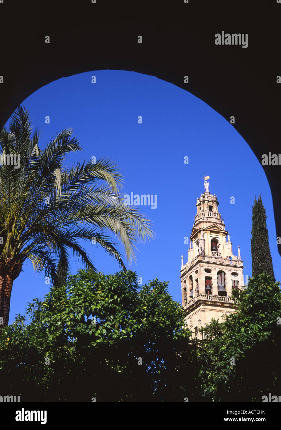 Glockenturm der Kathedrale Mezquita große Moschee und Palmen Baum umrahmt von Bogen Cordoba Andalusien Spanien Stockfoto