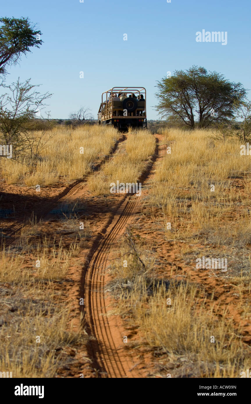 Sundowner Pirschfahrt Kalahari Wüste Namibia Stockfoto