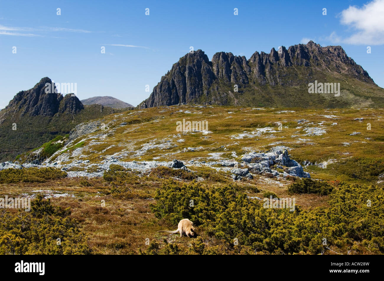 Australien Tasmanien Cradle Mountain Lake St. Clair National Park Stockfoto