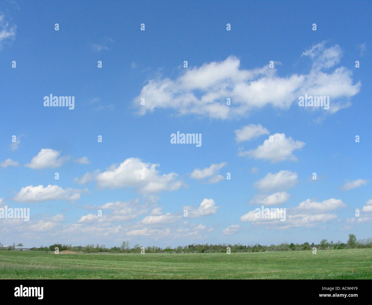 Cumulus-Wolken und Wiese Stockfoto