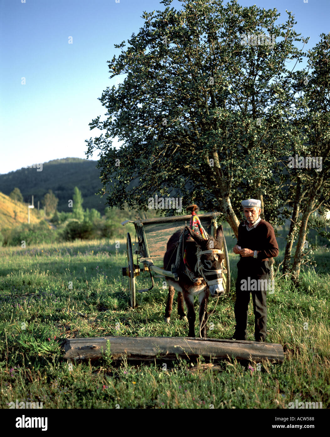 PORTUGAL-ALENTEJO-BAUER MIT ESEL UND WAGEN Stockfoto