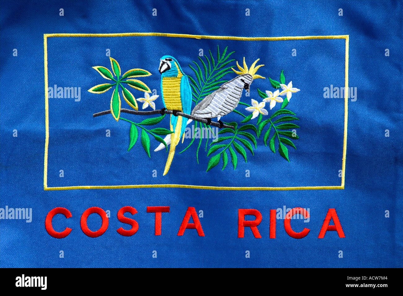 Ein blaues Banner mit Costa Rica und tropischen Papageien bedruckt Stockfoto