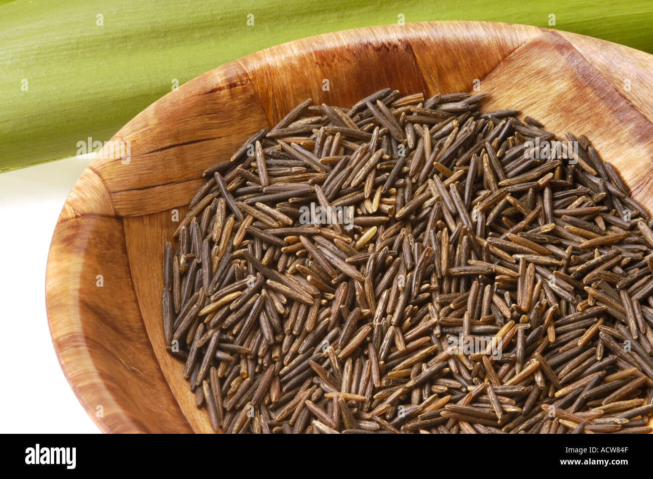 nicht geschälte natürliche WILDREIS aus Nordamerika Kanada und Mississippi Delta Frucht des Waterplant Wassers Pflanzen ZIZANIA AQUATICA Stockfoto