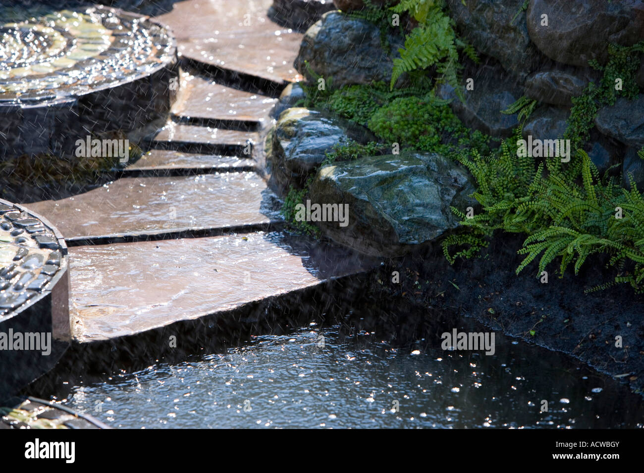Rill mit tausend Farn und Nebel von Wasserstrahlen Stockfoto