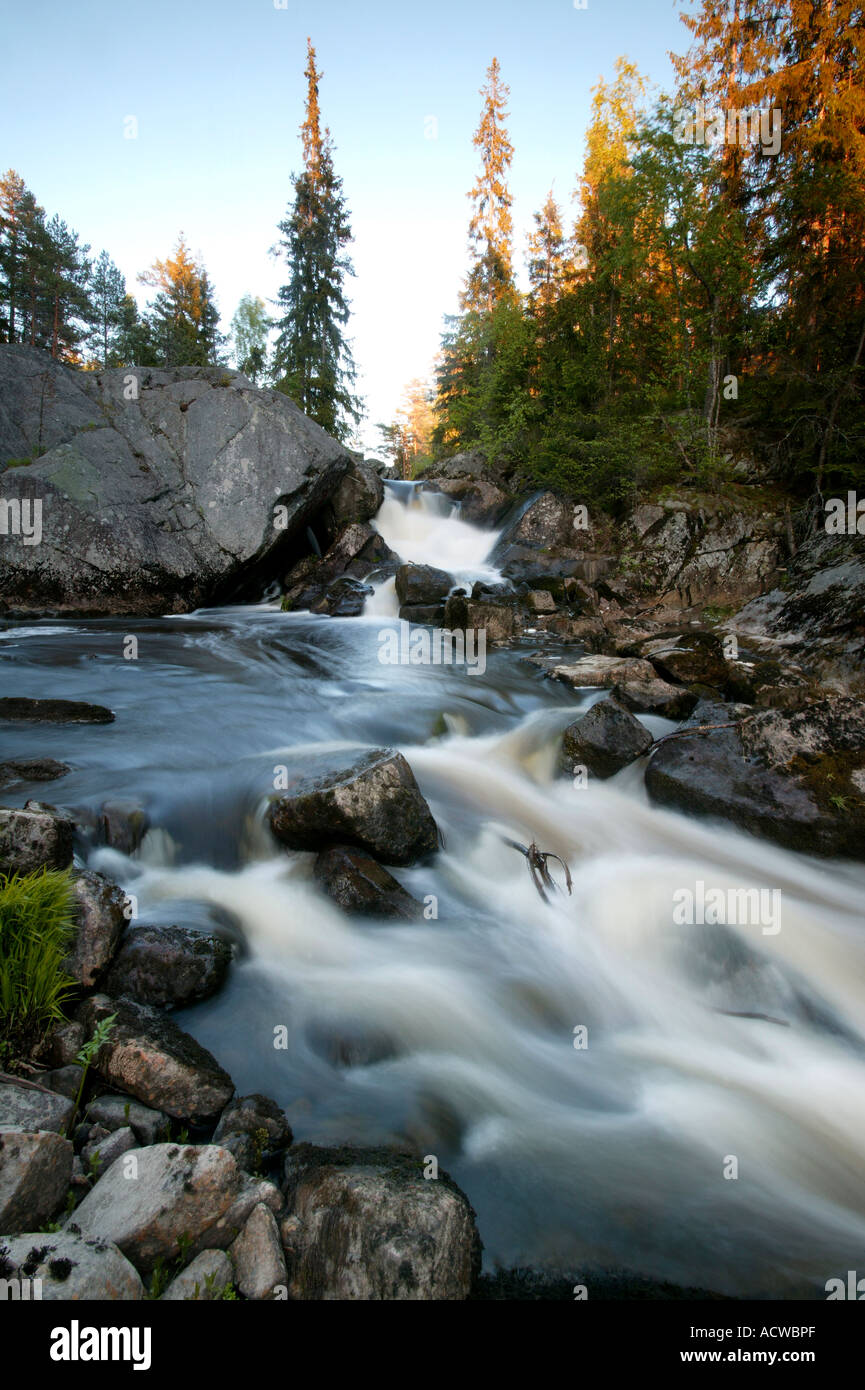 Schönen Sommerabend am Fluss Svinna in Våler Kommune, Østfold, Norwegen. Der Fluss ist ein Teil des Wassers, das System namens Morsavassdraget. Stockfoto