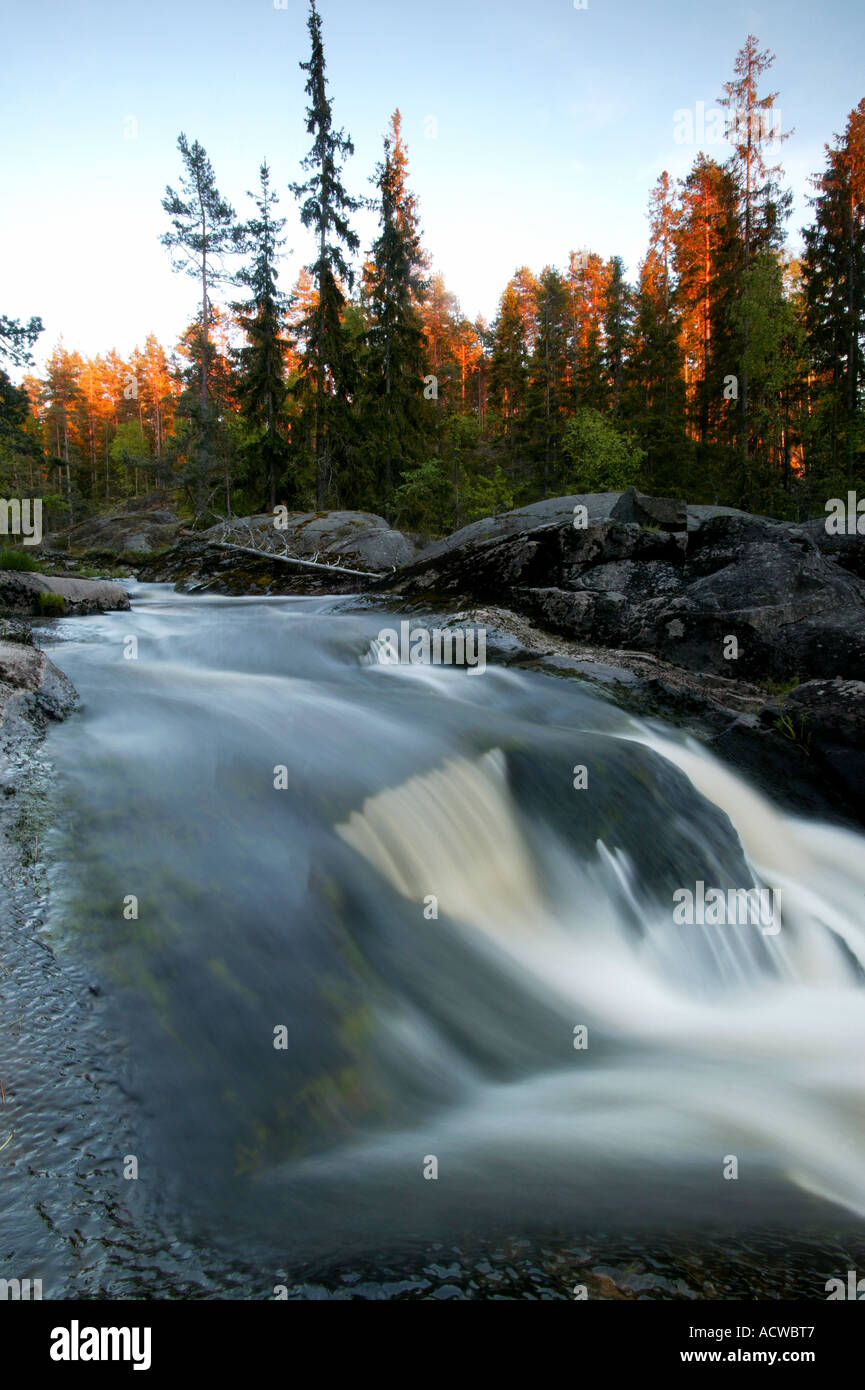 Schönen Sommerabend am Fluss Svinna in Våler Kommune, Østfold, Norwegen. Der Fluss ist ein Teil des Wassers, das System namens Morsavassdraget. Stockfoto