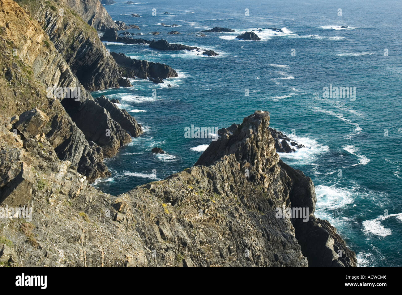 Felsenküste, Cabo Sardao, Alentejo, Portugal Stockfoto