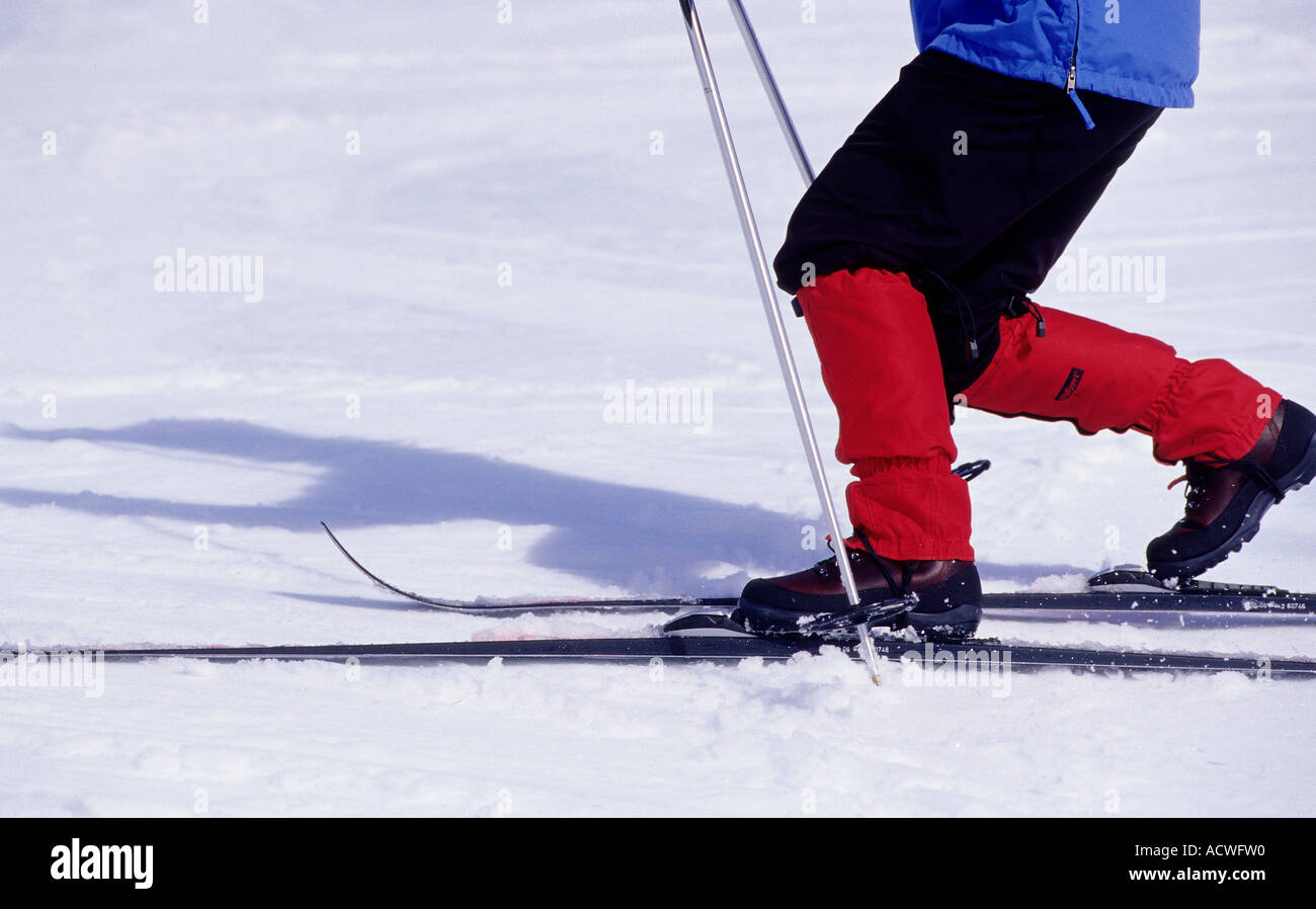 Telemark-Skifahrer Stockfoto