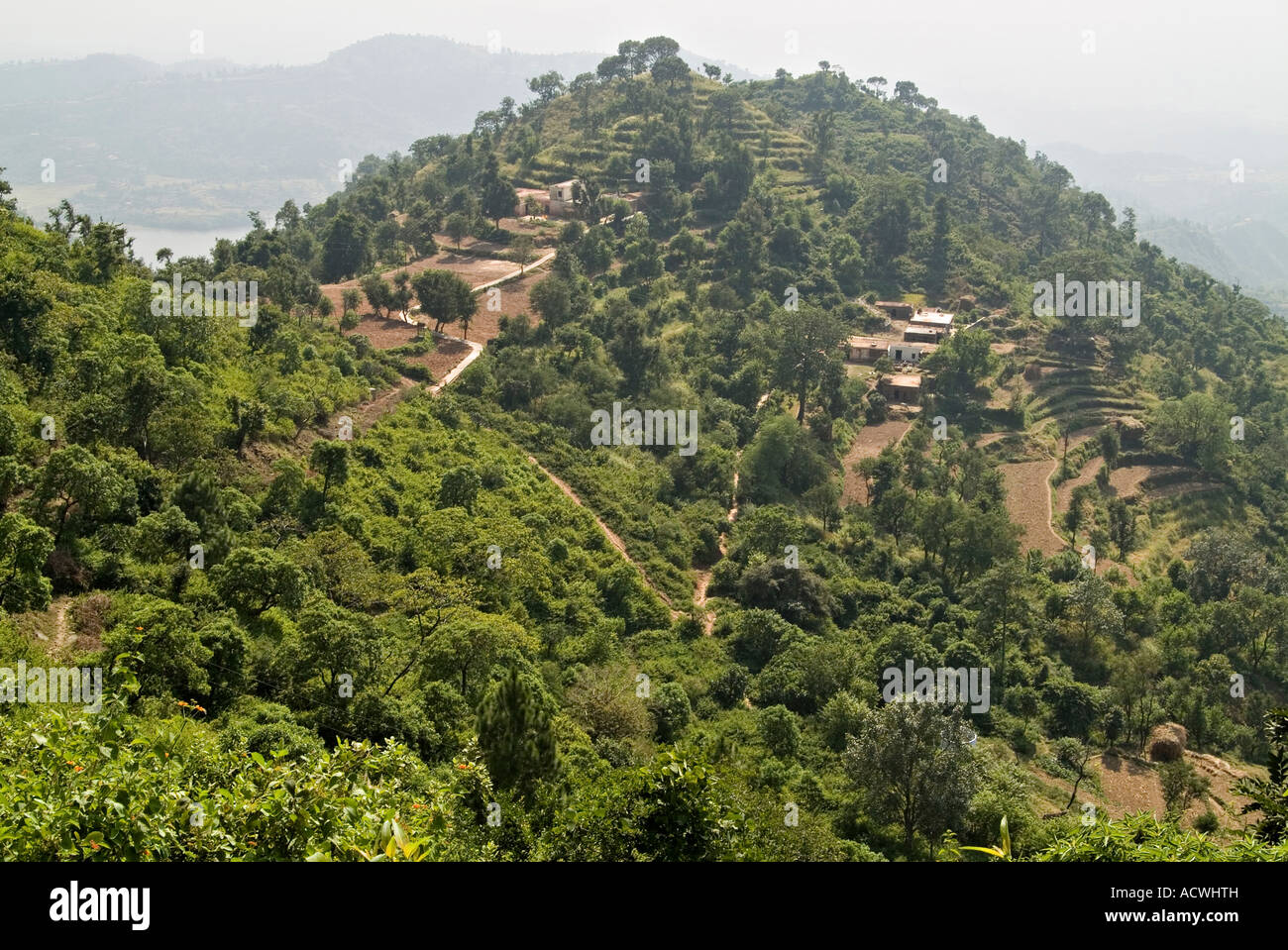 EINE GEPFLÜGTES TERRASSE HILL IN INDIEN MIT WENIGEN WOHNUNGEN AUF SIE Stockfoto