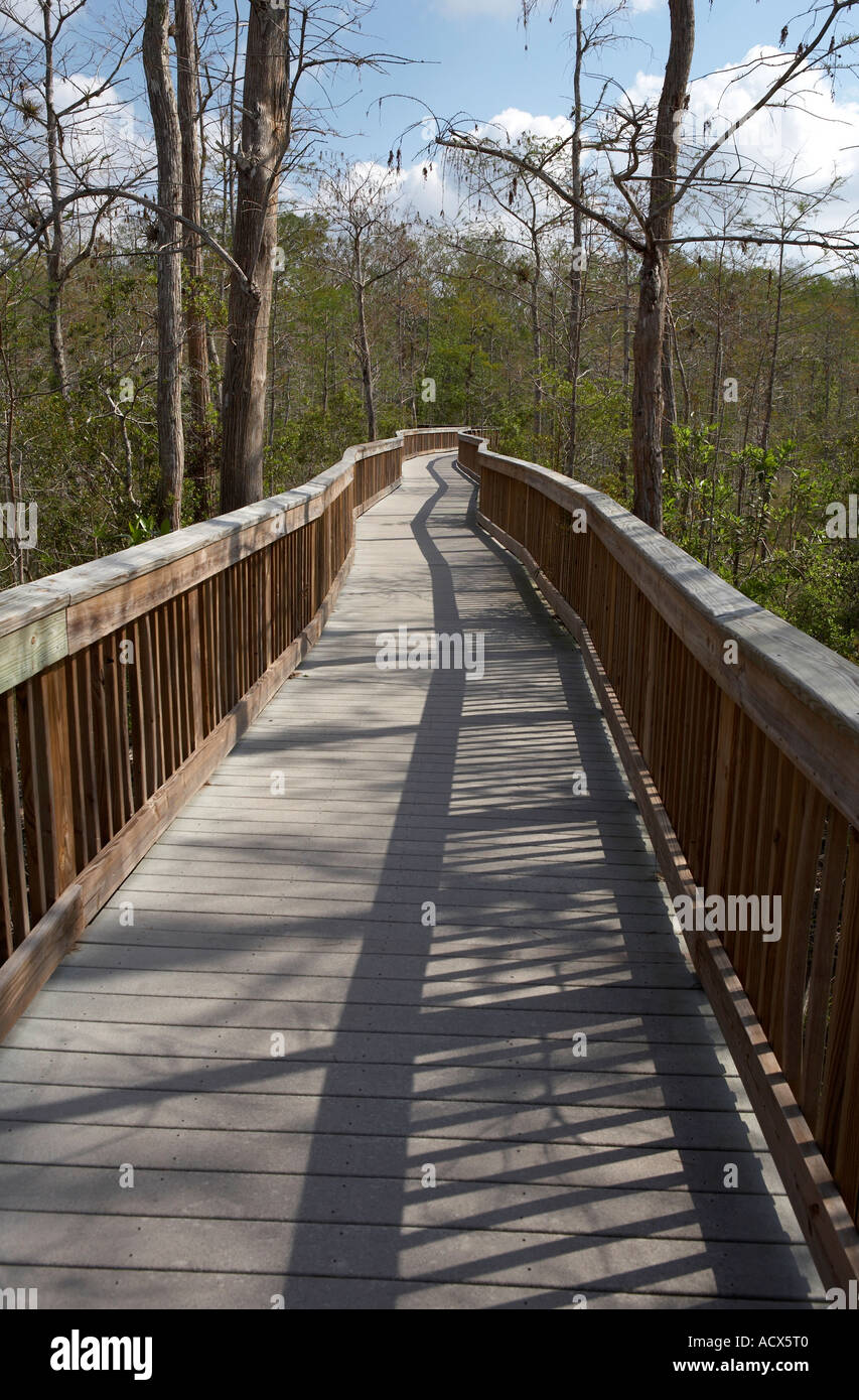 Erhöhten Holzsteg Kirby Storter am Straßenrand parken Florida Vereinigte Staaten usa Stockfoto