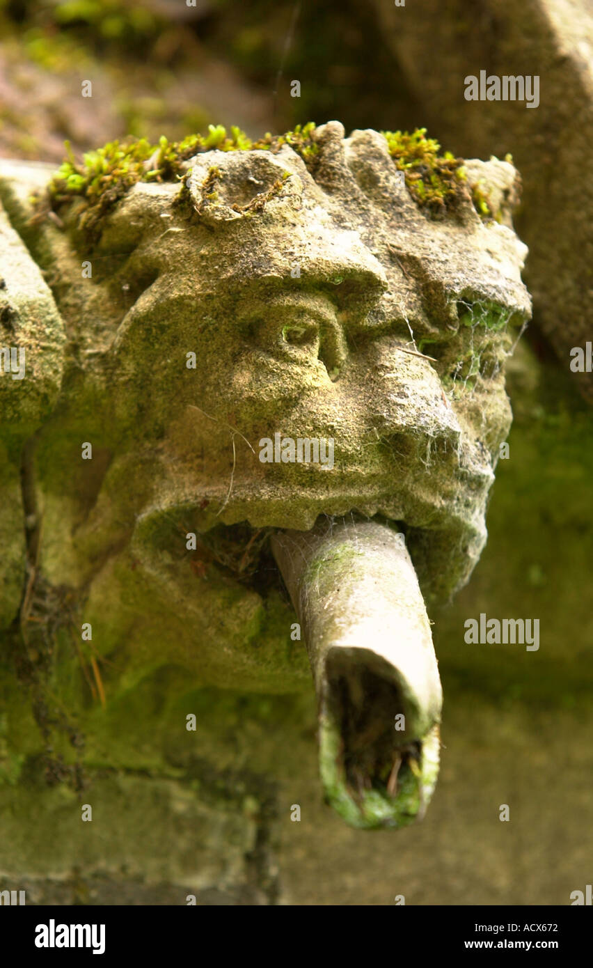 EIN WASSERSPEIER ALS EINEM REGEN-WASSER-AUSLAUF AN LITTLEDEAN HALL IN DEN FOREST OF DEAN GLOUCESTERSHIRE UK Stockfoto