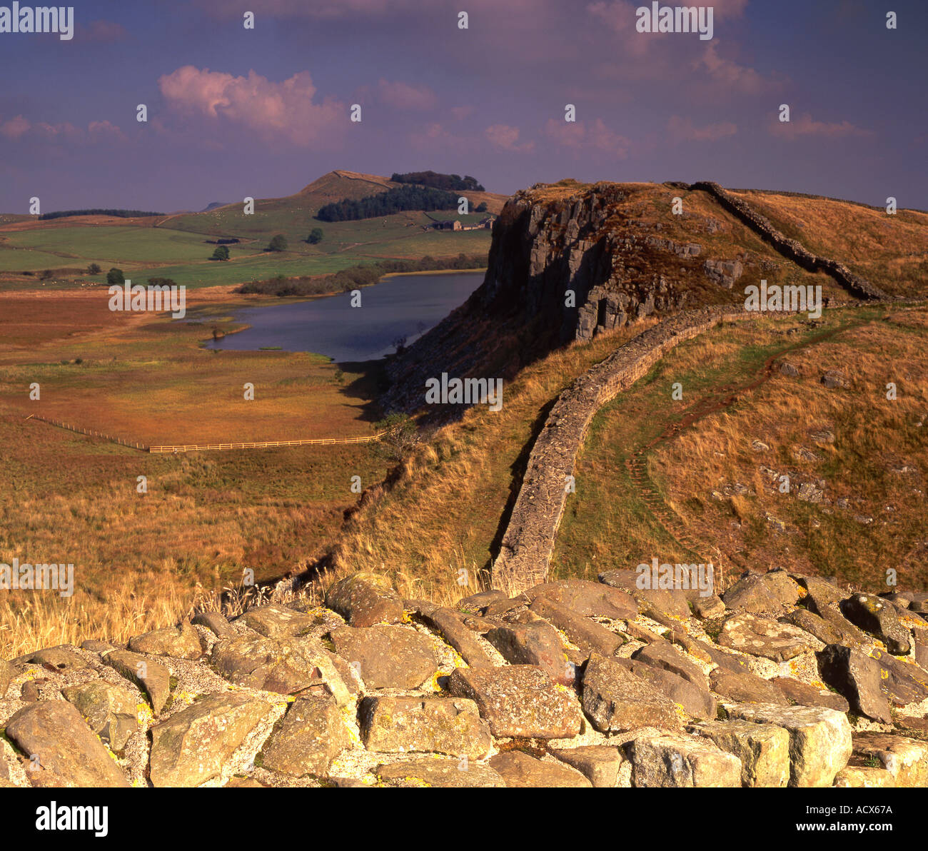 Hadrian Wand in der Nähe von Haltwhistle Northumberland National Park UK Stockfoto