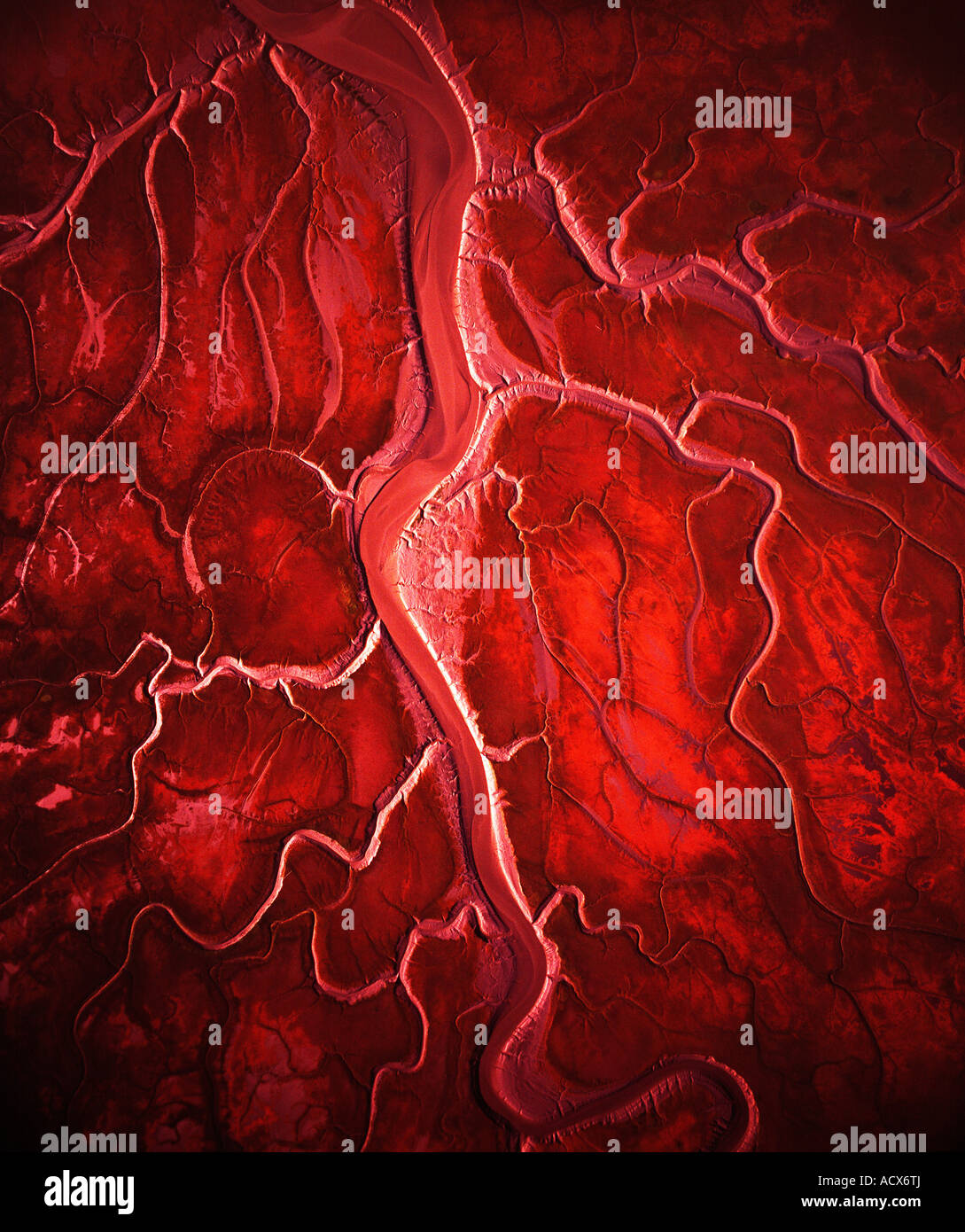 Wie die Arterien des Herzens ausbreiten die Rinnsale von diesem Wattwanderungen in Chickaloon Bay von wo der Fluss mündet. Stockfoto