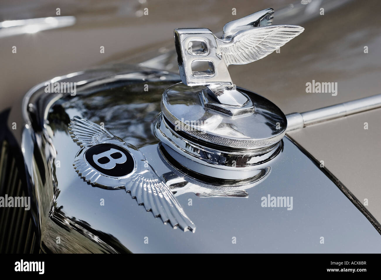 Die geflügelten B-Maskottchen auf einem Kühlerdeckel und Abzeichen auf die Nase des klassischen Vintage Bentley ca 1932 Stockfoto