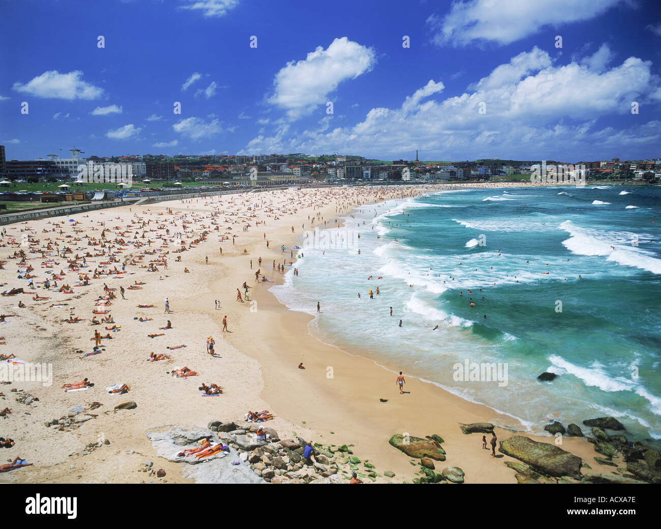 Sonnenbaden am berühmten Bondi Beach in Sydney Stockfoto