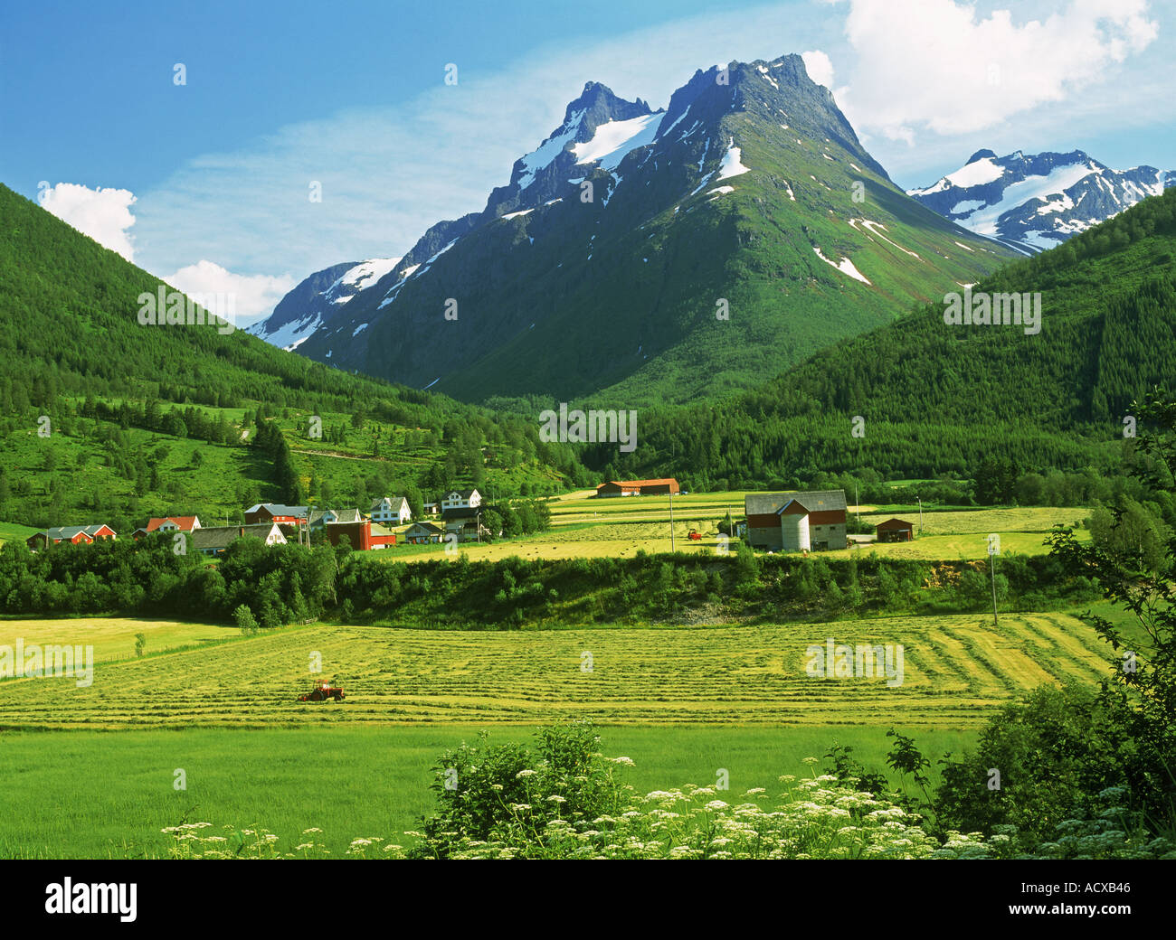 Berge und Farmen in mehr Romsdal Region von Norwegen Stockfoto