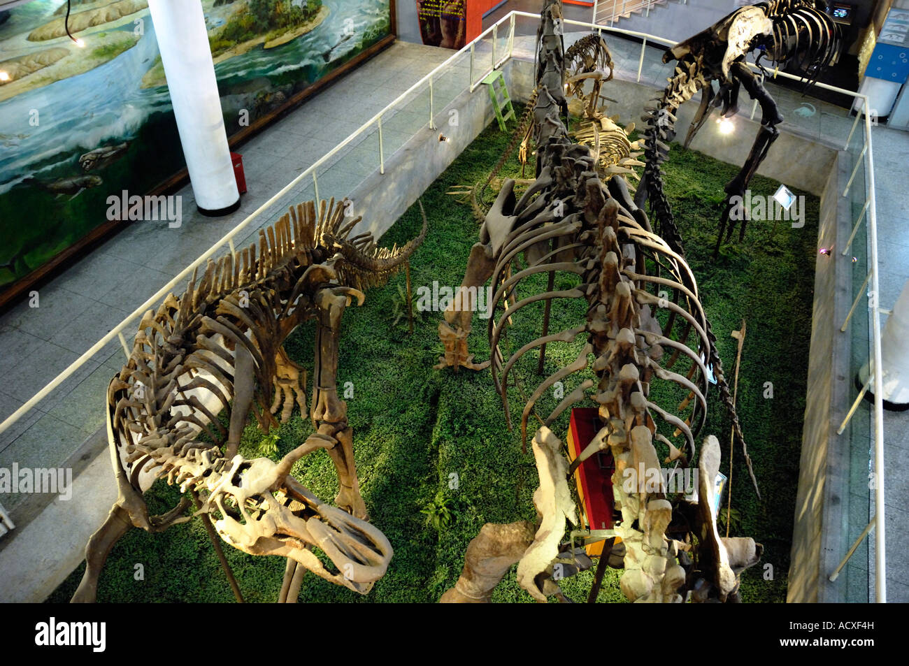 Dinosaurier-Museum in Beijing China 2007 Stockfoto