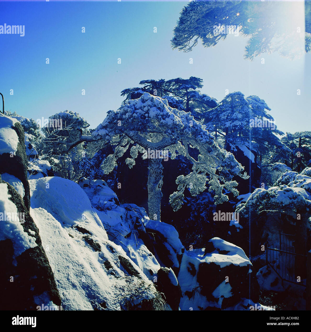 Mount Huangshan China Stockfoto