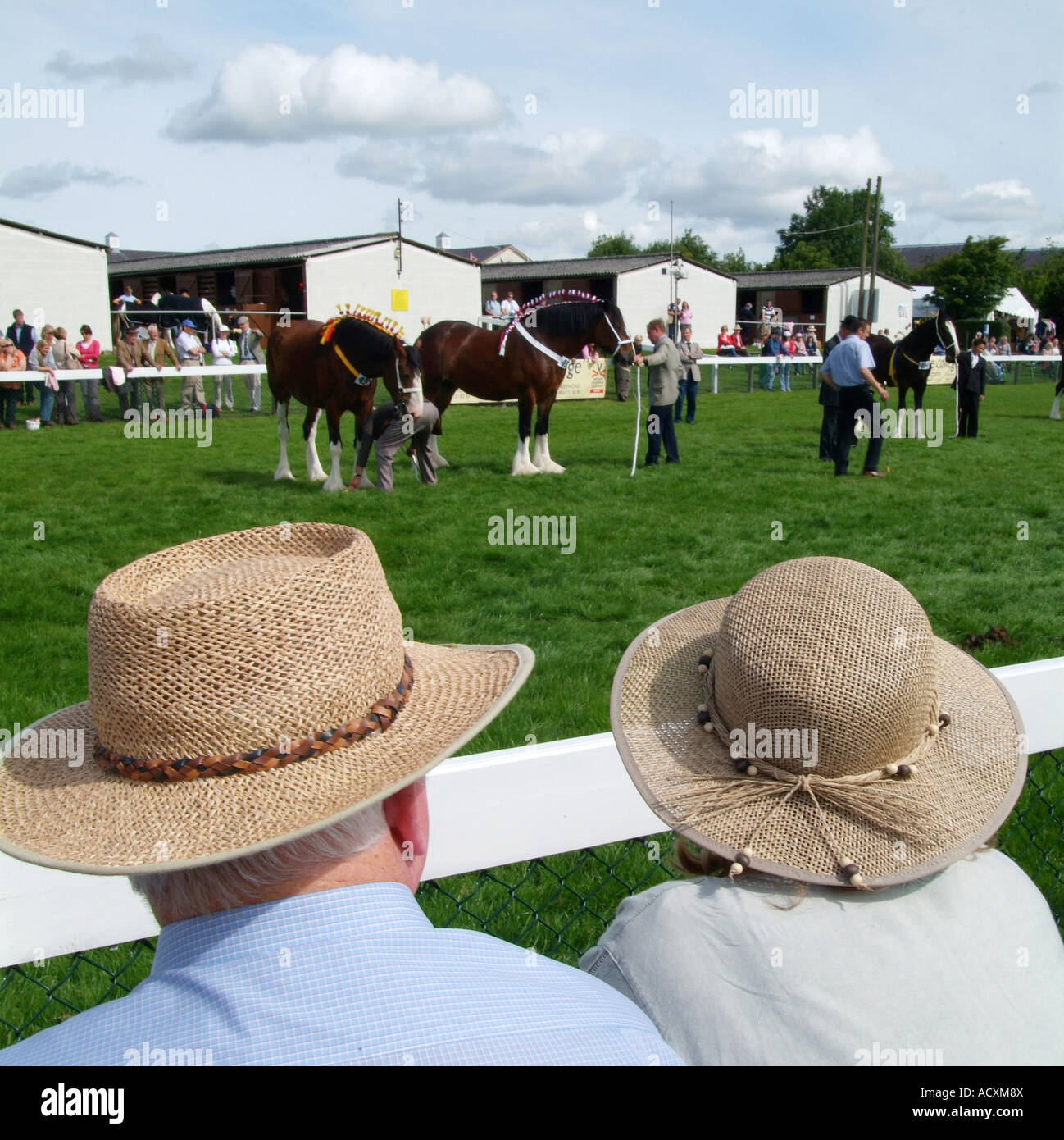 Beurteilung der Pferde am Great Yorkshire Show, Harrogate, North Yorkshire, Nordengland, Sommer 2007 Stockfoto